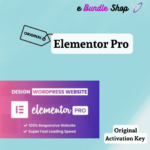 Elementor Pro