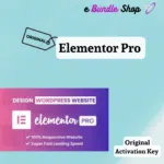 Elementor Pro