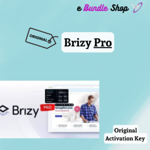 Brizy Pro