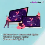 VidVoicer - AI Text to Voice Software
